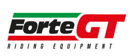 FORTE GT 